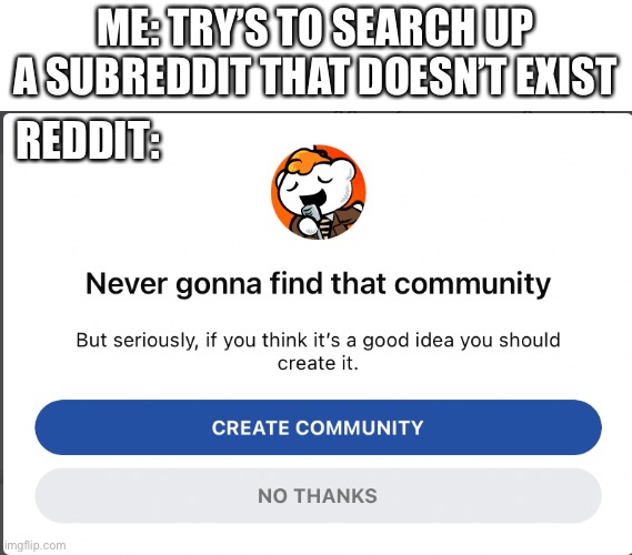 Did Reddit just rickroll me... with the lack of a subreddit? | ME: TRY’S TO SEARCH UP A SUBREDDIT THAT DOESN’T EXIST; REDDIT: | image tagged in never gonna find that community | made w/ Imgflip meme maker