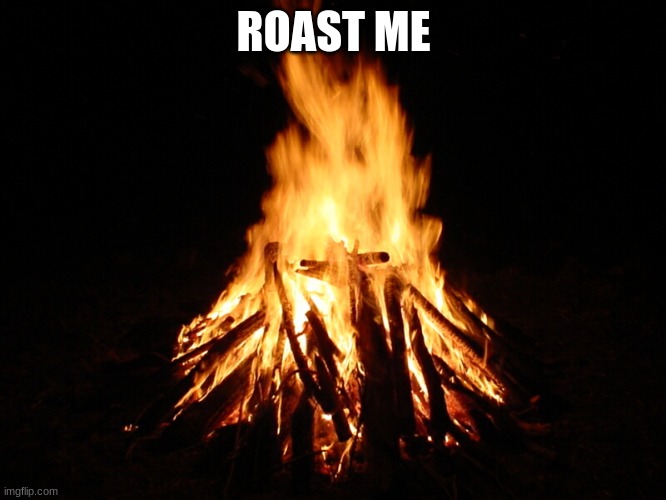 campfire | ROAST ME | image tagged in campfire | made w/ Imgflip meme maker
