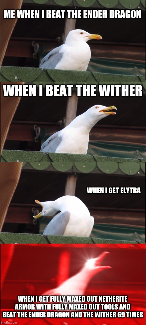 E | ME WHEN I BEAT THE ENDER DRAGON; WHEN I BEAT THE WITHER; WHEN I GET ELYTRA; WHEN I GET FULLY MAXED OUT NETHERITE ARMOR WITH FULLY MAXED OUT TOOLS AND BEAT THE ENDER DRAGON AND THE WITHER 69 TIMES | image tagged in memes,inhaling seagull | made w/ Imgflip meme maker