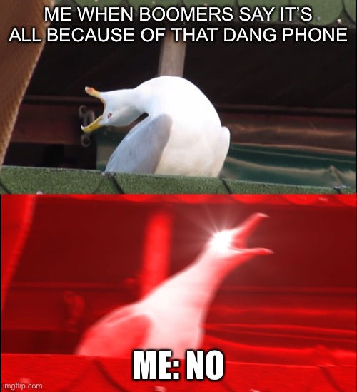 Screaming bird | ME WHEN BOOMERS SAY IT’S ALL BECAUSE OF THAT DANG PHONE; ME: NO | image tagged in screaming bird | made w/ Imgflip meme maker