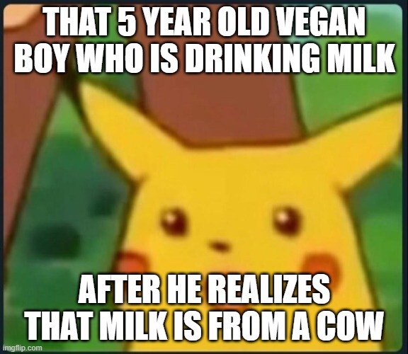 5 year ol who is vegan | THAT 5 YEAR OLD VEGAN BOY WHO IS DRINKING MILK; AFTER HE REALIZES THAT MILK IS FROM A COW | image tagged in surprised pikachu,vegans | made w/ Imgflip meme maker