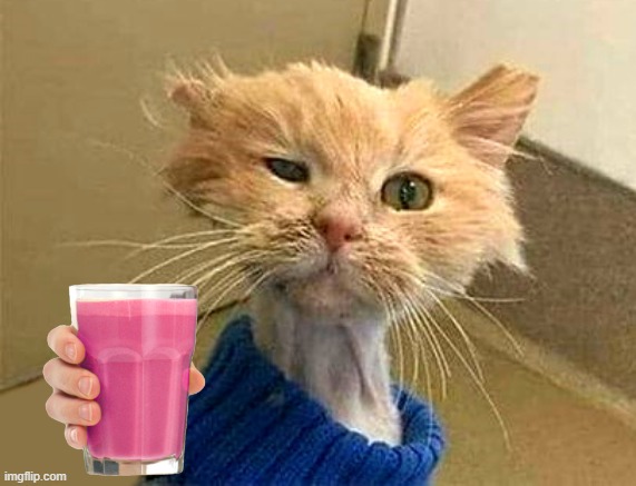 image tagged in wtf-cat | made w/ Imgflip meme maker