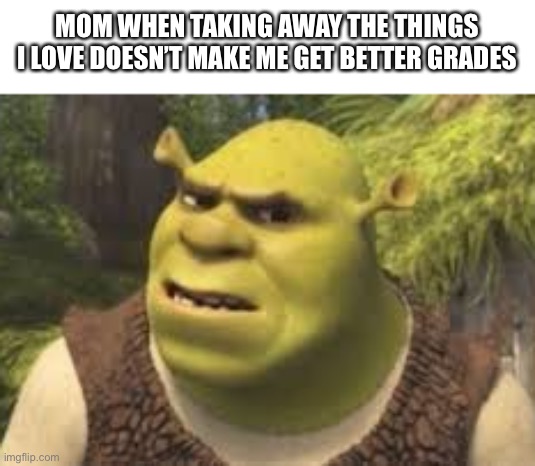 Confused shrek | MOM WHEN TAKING AWAY THE THINGS I LOVE DOESN’T MAKE ME GET BETTER GRADES | image tagged in confused shrek | made w/ Imgflip meme maker