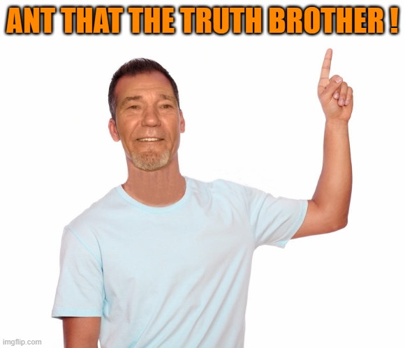 point up | ANT THAT THE TRUTH BROTHER ! | image tagged in point up | made w/ Imgflip meme maker