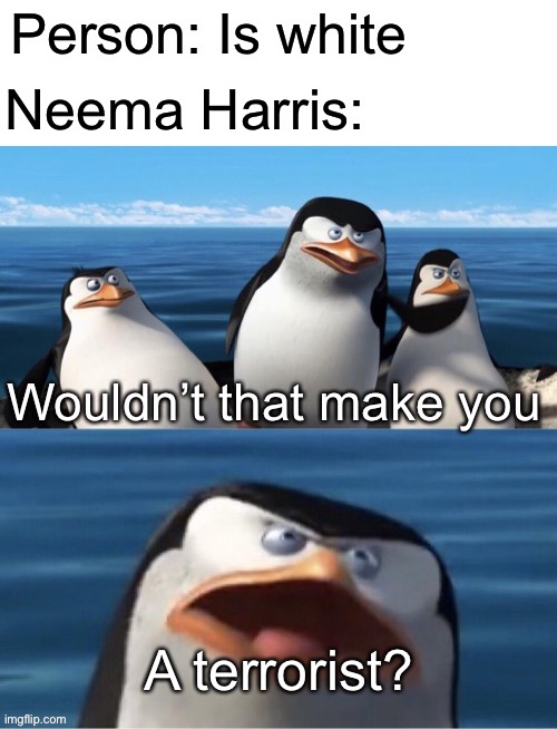 Wouldn’t that make you | Neema Harris:; Person: Is white; A terrorist? | image tagged in wouldn t that make you,politics | made w/ Imgflip meme maker