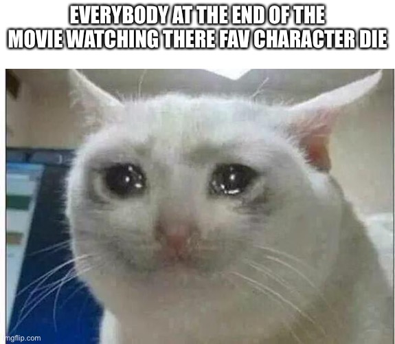 crying cat | EVERYBODY AT THE END OF THE MOVIE WATCHING THERE FAV CHARACTER DIE | image tagged in crying cat | made w/ Imgflip meme maker