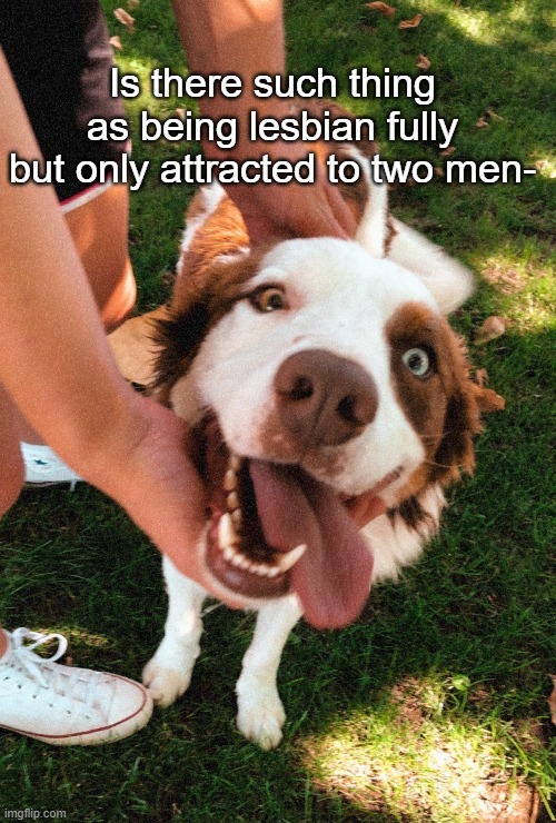 Me doggo | Is there such thing as being lesbian fully but only attracted to two men- | image tagged in me doggo | made w/ Imgflip meme maker