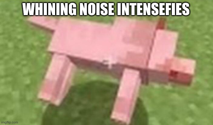 minecraft dog dying | WHINING NOISE INTENSEFIES | image tagged in minecraft dog dying | made w/ Imgflip meme maker