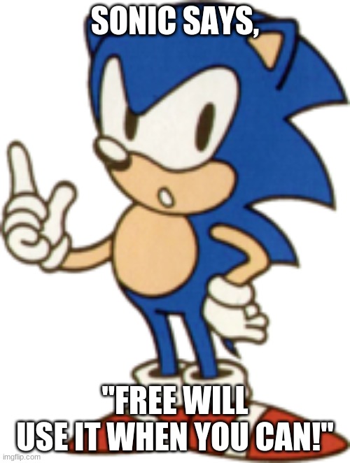 sonic says | SONIC SAYS, "FREE WILL
USE IT WHEN YOU CAN!" | image tagged in sonic the hedgehog | made w/ Imgflip meme maker