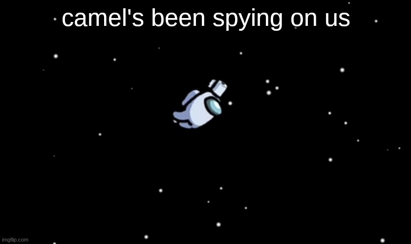 who the hell is this | camel's been spying on us | image tagged in among us ejected,net | made w/ Imgflip meme maker