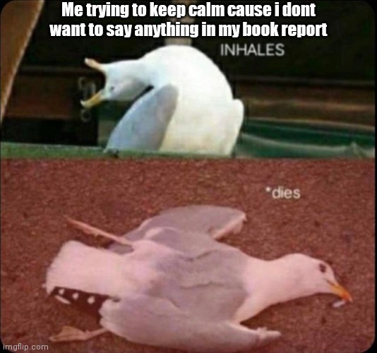 inhales dies bird | Me trying to keep calm cause i dont want to say anything in my book report | image tagged in inhales dies bird | made w/ Imgflip meme maker