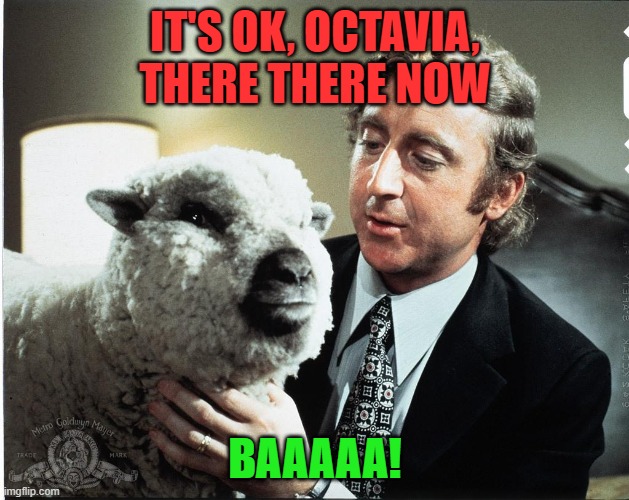 Baaa | IT'S OK, OCTAVIA, THERE THERE NOW BAAAAA! | image tagged in baaa | made w/ Imgflip meme maker