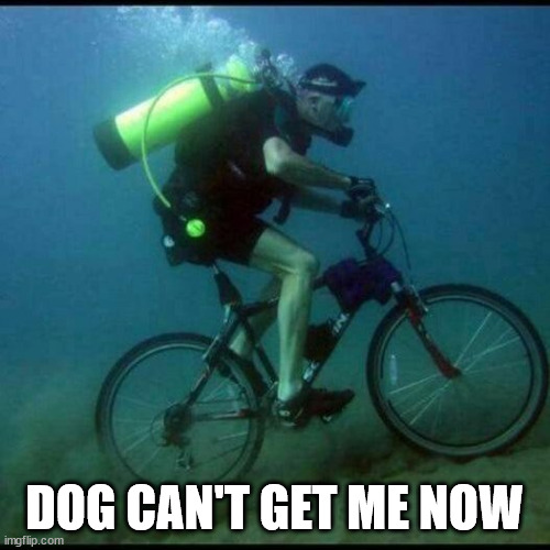 Scuba Diving Bicycle | DOG CAN'T GET ME NOW | image tagged in scuba diving bicycle | made w/ Imgflip meme maker