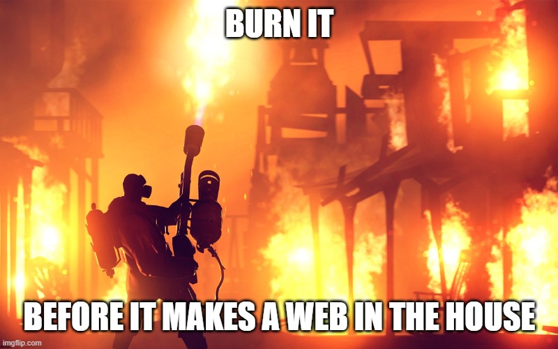 BURN IT DOWN | BURN IT BEFORE IT MAKES A WEB IN THE HOUSE | image tagged in burn it down | made w/ Imgflip meme maker