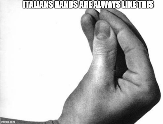 italian hand |  ITALIANS HANDS ARE ALWAYS LIKE THIS | image tagged in italian hand | made w/ Imgflip meme maker