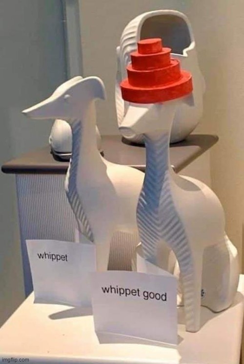 Whippet Art | image tagged in devo,80s music,whippet,whip it,art | made w/ Imgflip meme maker