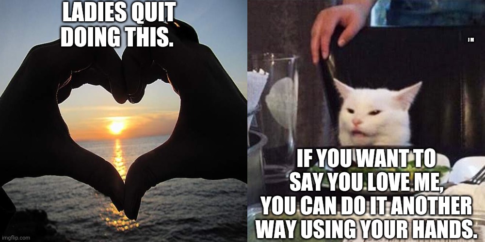  LADIES QUIT DOING THIS. J M; IF YOU WANT TO SAY YOU LOVE ME, YOU CAN DO IT ANOTHER WAY USING YOUR HANDS. | image tagged in smudge the cat | made w/ Imgflip meme maker