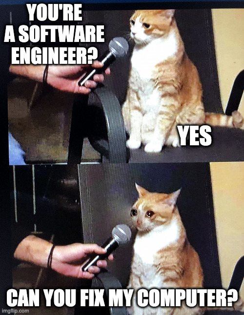 Interview Cat | YOU'RE A SOFTWARE ENGINEER? YES; CAN YOU FIX MY COMPUTER? | image tagged in interview cat | made w/ Imgflip meme maker