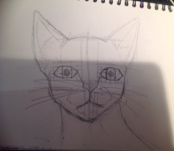 A cat I drew | image tagged in cats | made w/ Imgflip meme maker