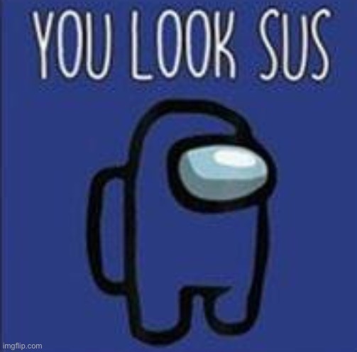 you look sus | image tagged in you look sus | made w/ Imgflip meme maker