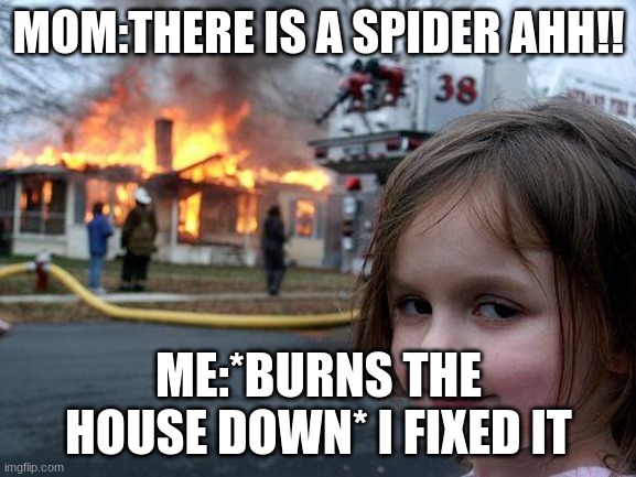 Disaster Girl Meme | MOM:THERE IS A SPIDER AHH!! ME:*BURNS THE HOUSE DOWN* I FIXED IT | image tagged in memes,disaster girl | made w/ Imgflip meme maker