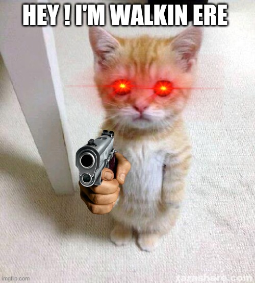 Cute Cat | HEY ! I'M WALKIN ERE | image tagged in memes,cute cat | made w/ Imgflip meme maker