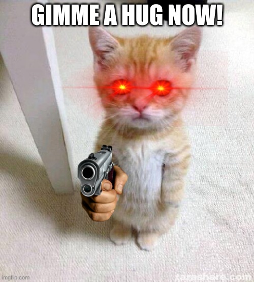 Cute Cat Meme | GIMME A HUG NOW! | image tagged in memes,cute cat | made w/ Imgflip meme maker