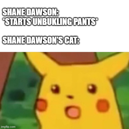 RUN | SHANE DAWSON: *STARTS UNBUKLING PANTS*; SHANE DAWSON'S CAT: | image tagged in memes,surprised pikachu,lol | made w/ Imgflip meme maker