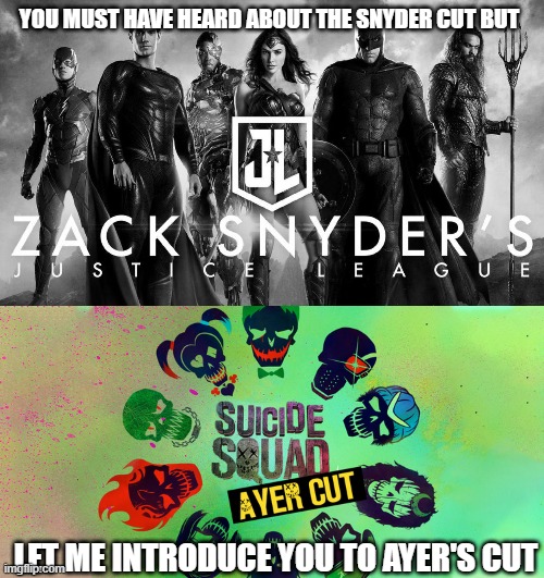 YOU MUST HAVE HEARD ABOUT THE SNYDER CUT BUT; LET ME INTRODUCE YOU TO AYER'S CUT | image tagged in dc comics,toilet humor | made w/ Imgflip meme maker