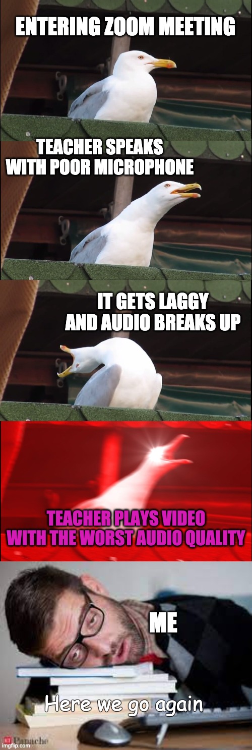 ENTERING ZOOM MEETING; TEACHER SPEAKS WITH POOR MICROPHONE; IT GETS LAGGY AND AUDIO BREAKS UP; TEACHER PLAYS VIDEO WITH THE WORST AUDIO QUALITY; ME; Here we go again | image tagged in memes,inhaling seagull,online school | made w/ Imgflip meme maker