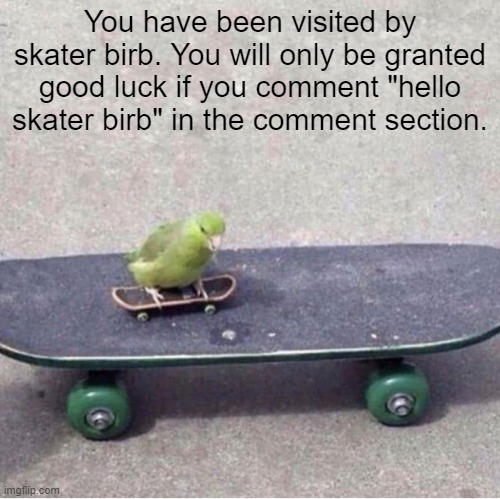 You have been visited by skater birb. You will only be granted good luck if you comment "hello skater birb" in the comment section. | made w/ Imgflip meme maker