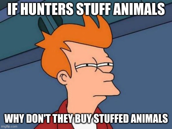 Futurama Fry Meme | IF HUNTERS STUFF ANIMALS; WHY DON'T THEY BUY STUFFED ANIMALS | image tagged in memes,futurama fry | made w/ Imgflip meme maker
