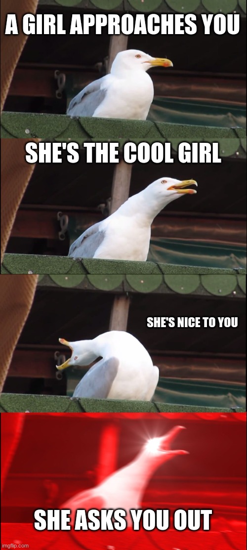 Inhaling Seagull | A GIRL APPROACHES YOU; SHE'S THE COOL GIRL; SHE'S NICE TO YOU; SHE ASKS YOU OUT | image tagged in memes,inhaling seagull | made w/ Imgflip meme maker