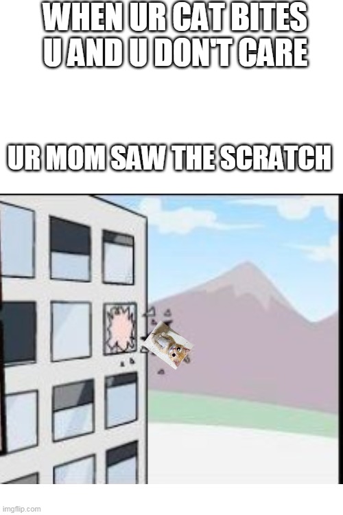fdrggytgeed1`drw3wsaaaaaaa | WHEN UR CAT BITES U AND U DON'T CARE; UR MOM SAW THE SCRATCH | image tagged in blank white template | made w/ Imgflip meme maker
