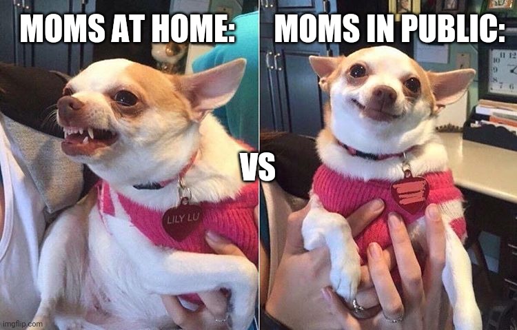 Didn't know what to post so here | MOMS AT HOME:; MOMS IN PUBLIC:; VS | image tagged in angry dog meme | made w/ Imgflip meme maker