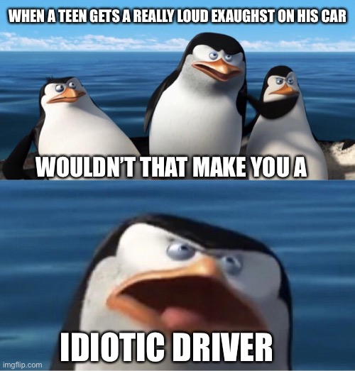 Wouldn't that make you | WHEN A TEEN GETS A REALLY LOUD EXAUGHST ON HIS CAR; WOULDN’T THAT MAKE YOU A; IDIOTIC DRIVER | image tagged in wouldn't that make you | made w/ Imgflip meme maker