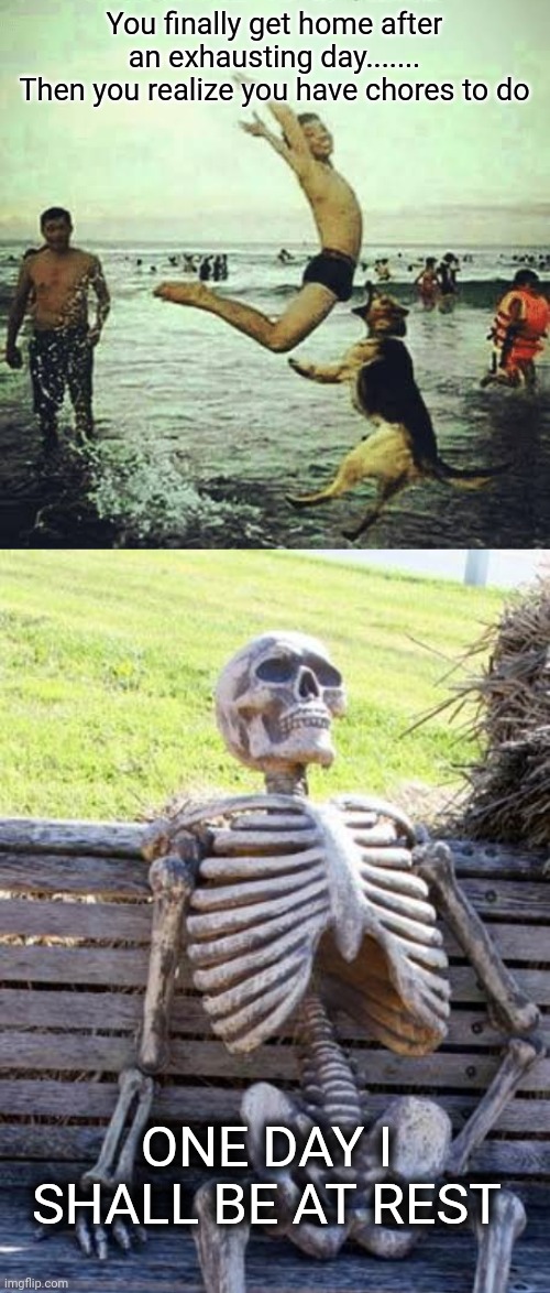 It's a Long Day | You finally get home after an exhausting day.......
Then you realize you have chores to do; ONE DAY I SHALL BE AT REST | image tagged in memes,waiting skeleton,funny,funny memes,long day,dog | made w/ Imgflip meme maker