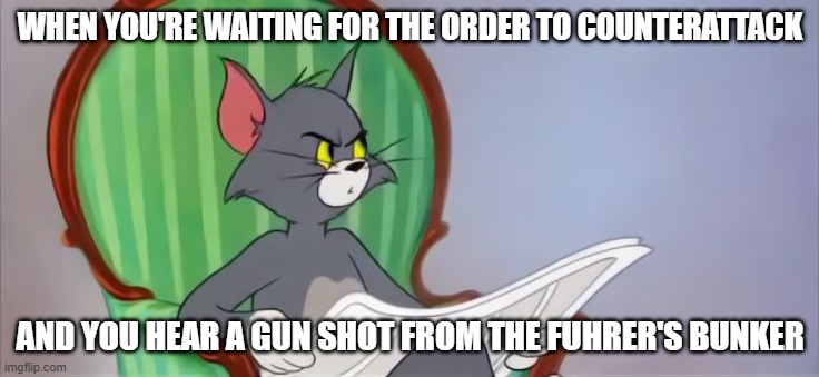huh? | WHEN YOU'RE WAITING FOR THE ORDER TO COUNTERATTACK; AND YOU HEAR A GUN SHOT FROM THE FUHRER'S BUNKER | image tagged in tom cat reading a newspaper | made w/ Imgflip meme maker