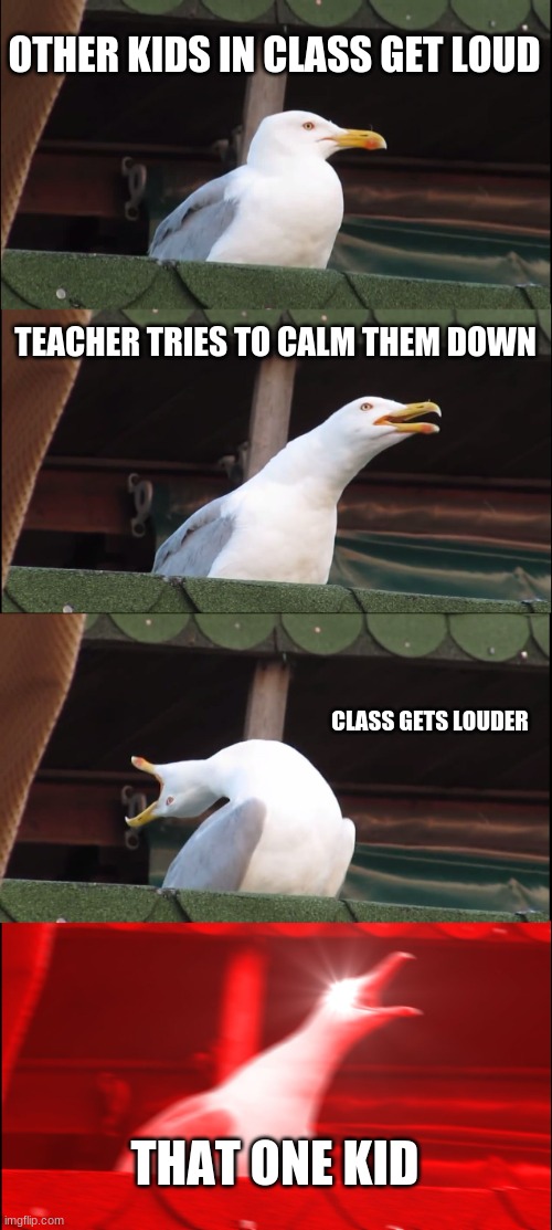 School | OTHER KIDS IN CLASS GET LOUD; TEACHER TRIES TO CALM THEM DOWN; CLASS GETS LOUDER; THAT ONE KID | image tagged in memes,inhaling seagull | made w/ Imgflip meme maker