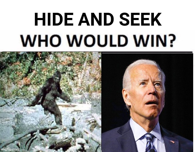 HIDE AND SEEK | image tagged in memes,who would win | made w/ Imgflip meme maker