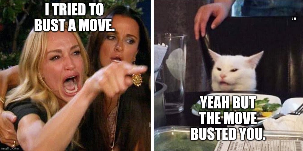 Smudge the cat | I TRIED TO BUST A MOVE. J M; YEAH BUT THE MOVE BUSTED YOU. | image tagged in smudge the cat | made w/ Imgflip meme maker