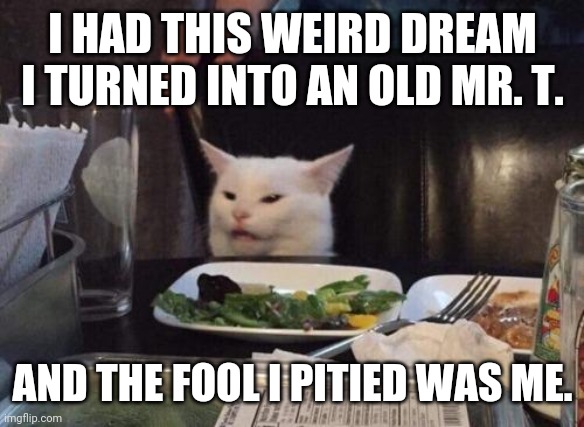 Salad cat | I HAD THIS WEIRD DREAM I TURNED INTO AN OLD MR. T. AND THE FOOL I PITIED WAS ME. | image tagged in salad cat | made w/ Imgflip meme maker