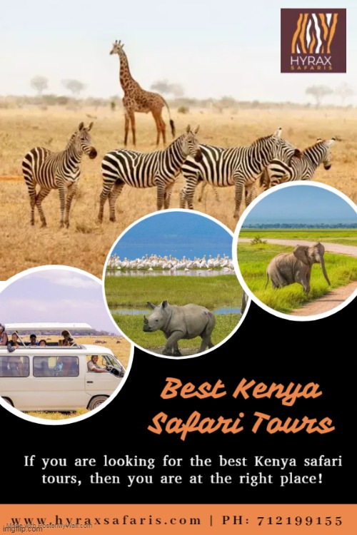 Best Kenya Safari Tours | image tagged in kenya wildlife safari packages,cheap masai mara safari packages,kenya wildlife safari tours,kenya wildlife tour packages | made w/ Imgflip meme maker