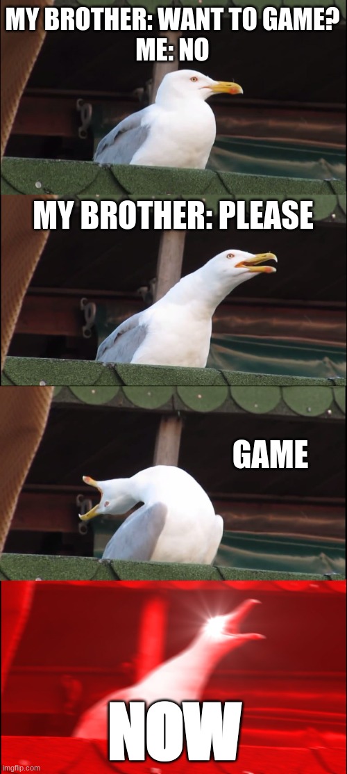 Inhaling Seagull | MY BROTHER: WANT TO GAME?
ME: NO; MY BROTHER: PLEASE; GAME; NOW | image tagged in memes,inhaling seagull | made w/ Imgflip meme maker