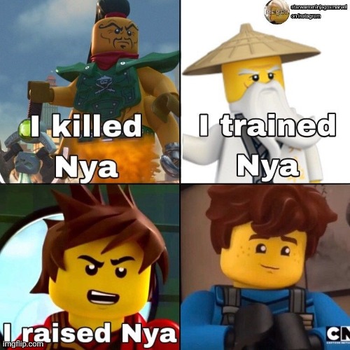 Who did what to Nya? | image tagged in ninjago,nya | made w/ Imgflip meme maker