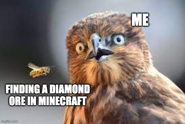 Finding diamond ore | ME; FINDING A DIAMOND ORE IN MINECRAFT | image tagged in owl looking at a bee,diamond,minecraft,memes | made w/ Imgflip meme maker