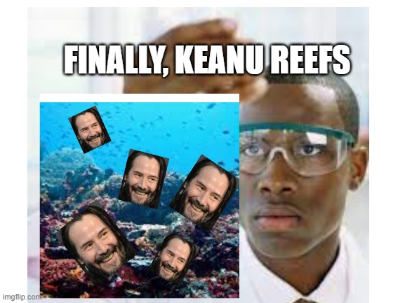 FINALLY, KEANU REEFS | image tagged in memes,funny | made w/ Imgflip meme maker