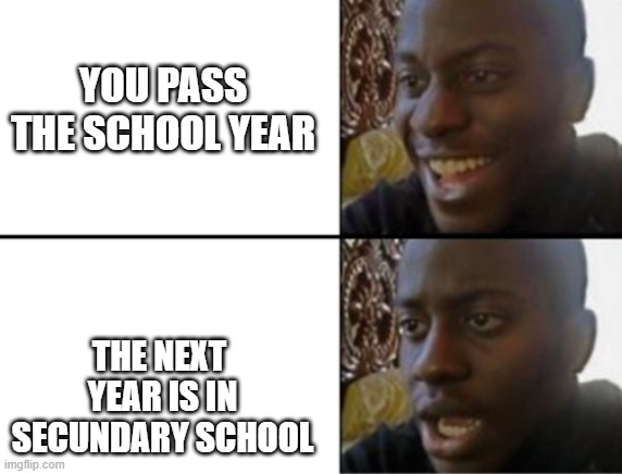 secundary school=heck | YOU PASS THE SCHOOL YEAR; THE NEXT  YEAR IS IN SECUNDARY SCHOOL | image tagged in oh yeah oh no | made w/ Imgflip meme maker