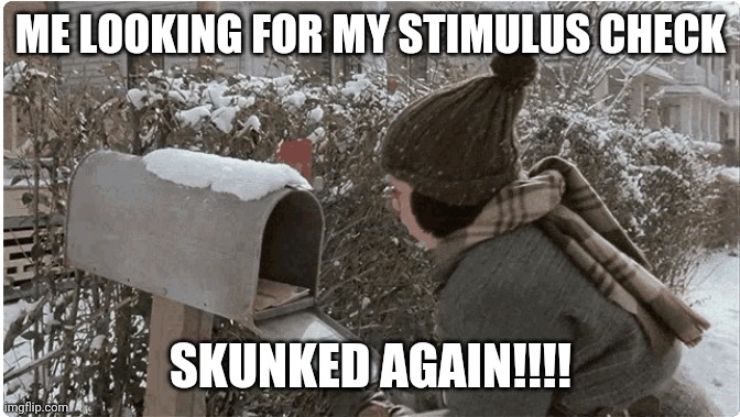 Skunked again | ME LOOKING FOR MY STIMULUS CHECK; SKUNKED AGAIN!!!! | image tagged in stimulus,funny | made w/ Imgflip meme maker