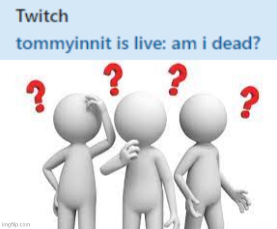 what | image tagged in tommyinnit,twitch | made w/ Imgflip meme maker